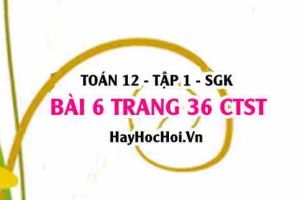 Bài 6 trang 36 Toán 12 tập 1 Chân trời sáng tạo